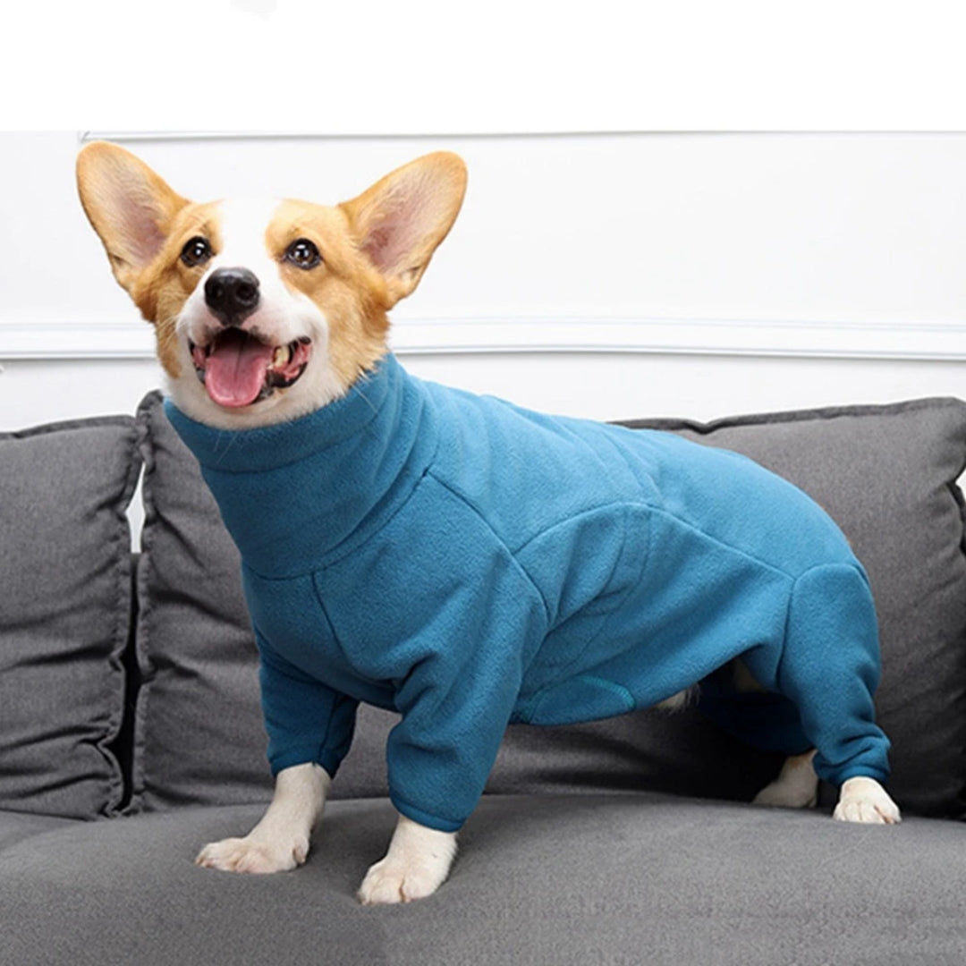 ComfyTail | Hundejumpsuit für kalte Tage und Gelenkprobleme