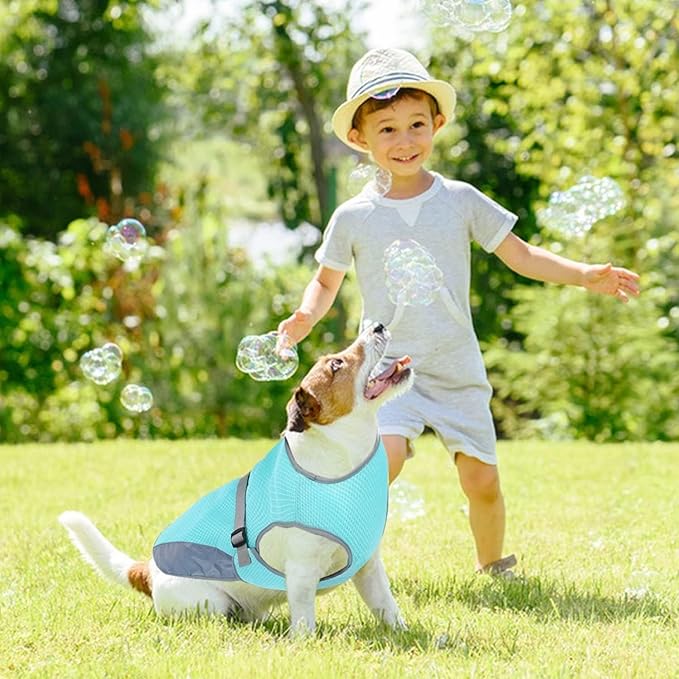 CoolBarker | Halte deinen Hund kühl und geschützt