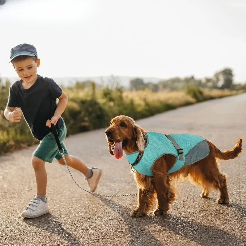CoolBarker | Halte deinen Hund kühl und geschützt