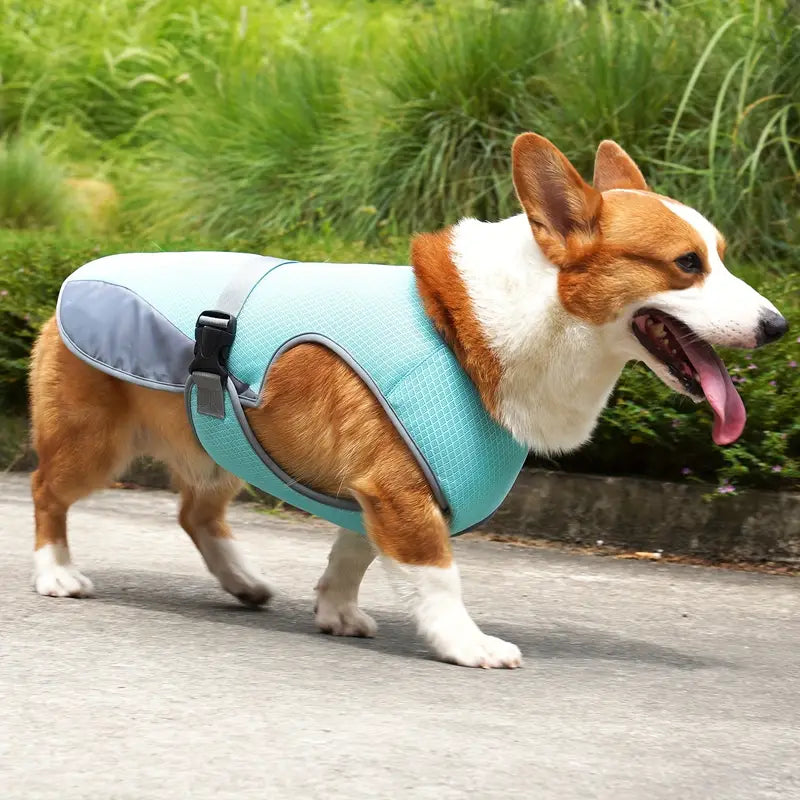 CoolBarker | Halte deinen Hund kühl und geschützt