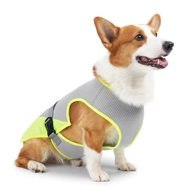 CoolBarker | Halte deinen Hund kühl und geschützt