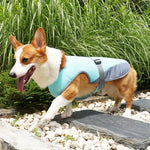 CoolBarker | Halte deinen Hund kühl und geschützt