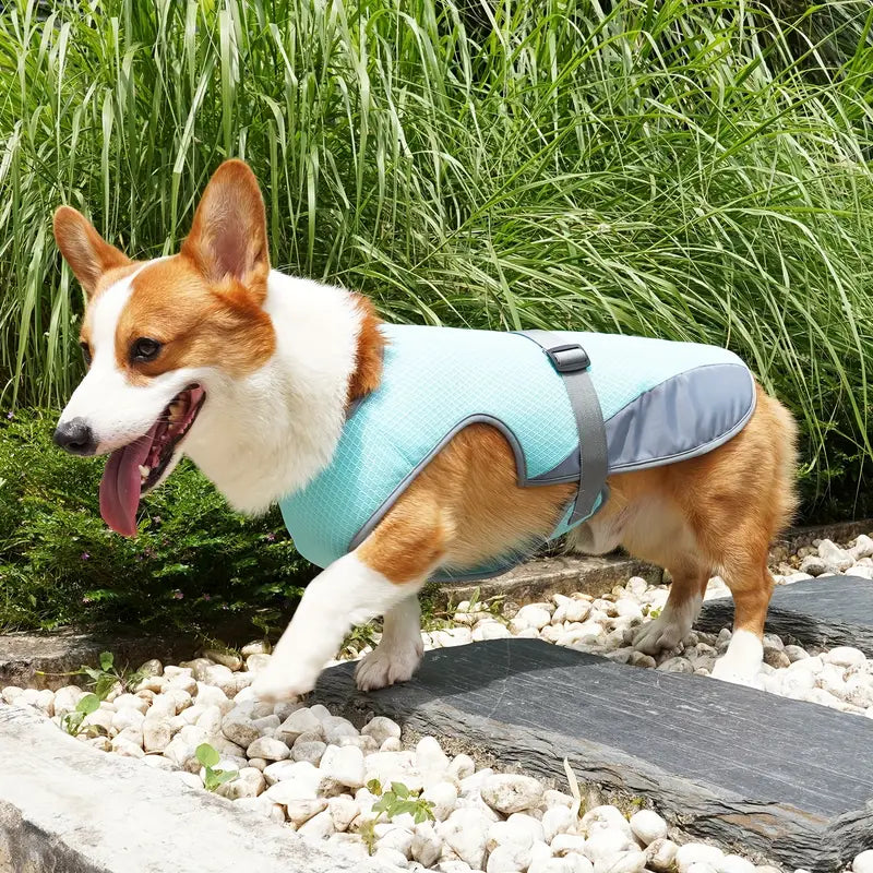 CoolBarker | Halte deinen Hund kühl und geschützt