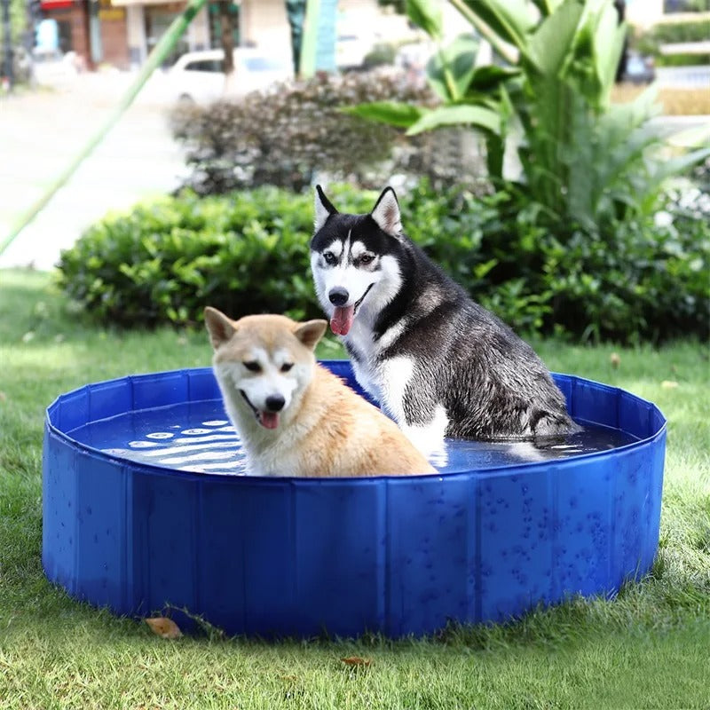 CoolSplash | Portable Cooling Pool for Dogs