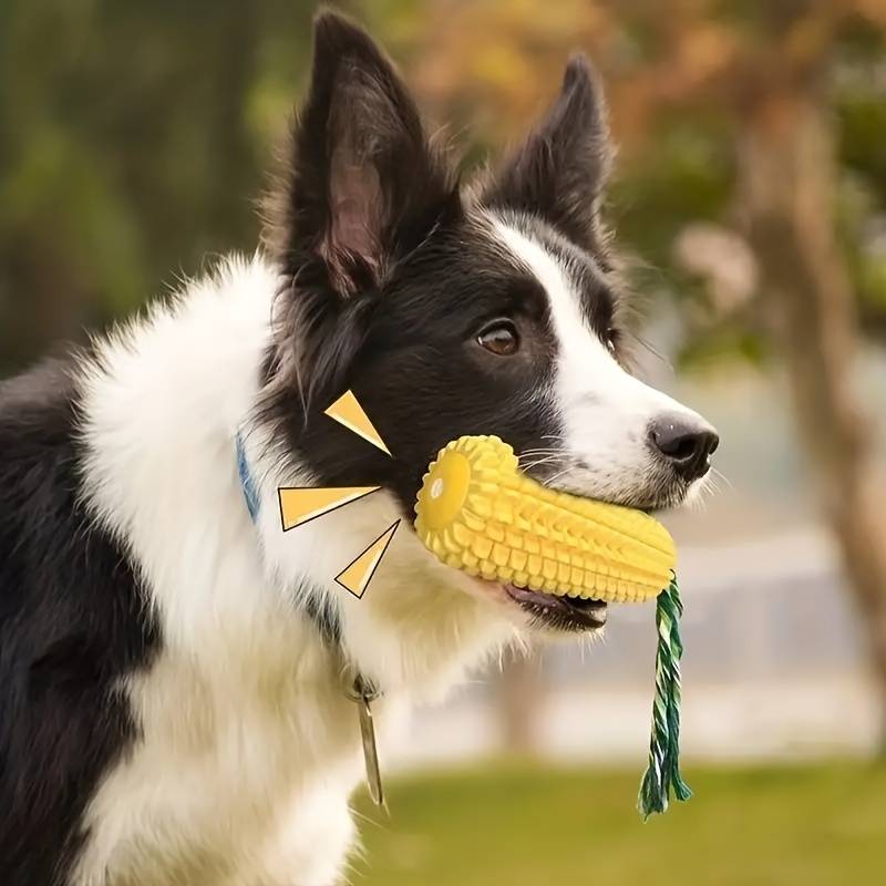 CornCraze | Kauspielzeug in Maisform für Hunde