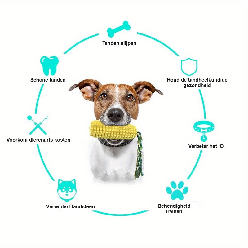 CornCraze | Kauspielzeug in Maisform für Hunde