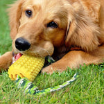 CornCraze | Kauspielzeug in Maisform für Hunde