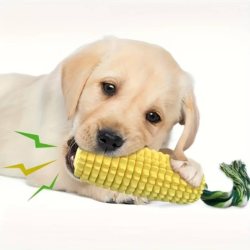 CornCraze | Kauspielzeug in Maisform für Hunde
