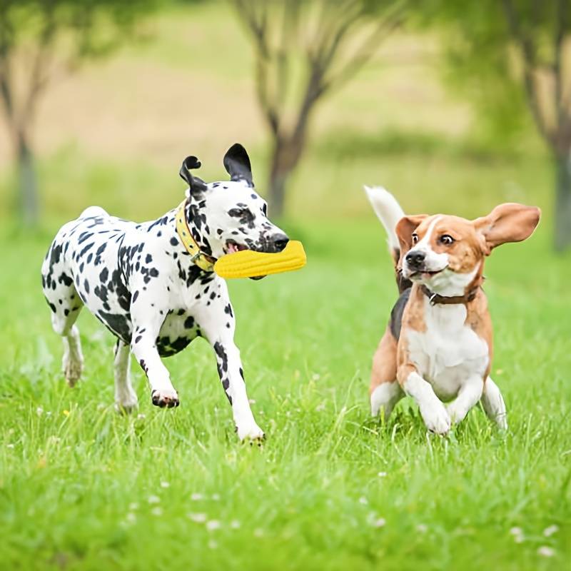 CornCraze | Kauspielzeug in Maisform für Hunde