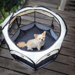 CozyBench | Schaffen Sie einen sicheren Spielbereich für Ihr Tier