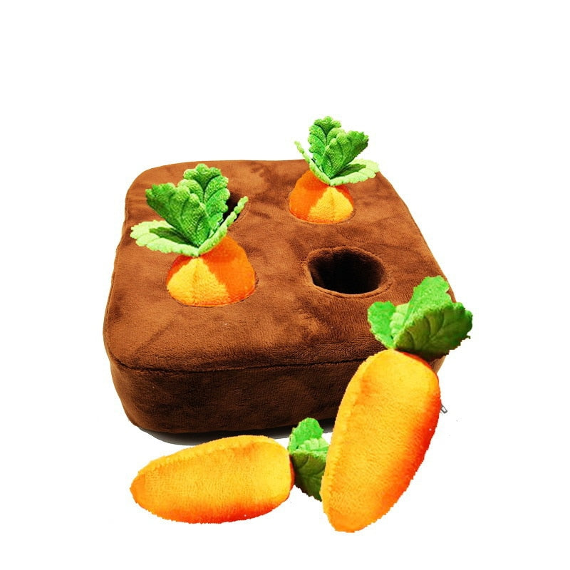 CozyCraze | Carrot Sniffing Playmat
