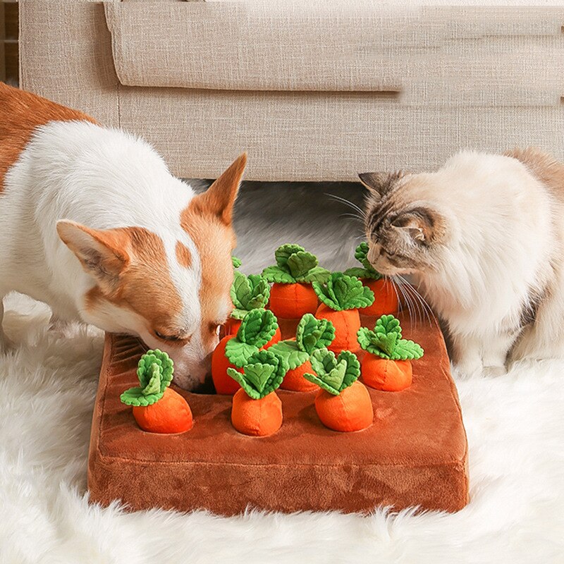 CozyCraze | Carrot Sniffing Playmat