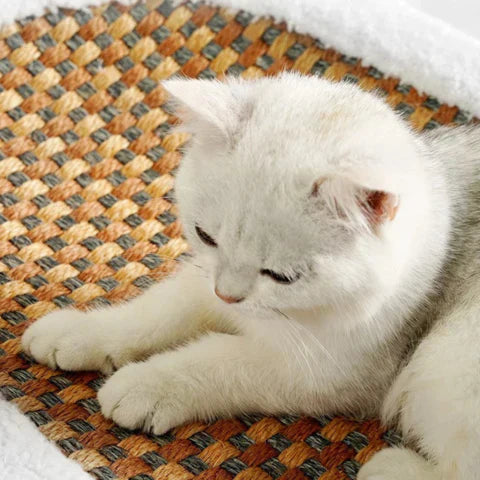 CozyCurl | Verabschiede dich von Kratzschäden