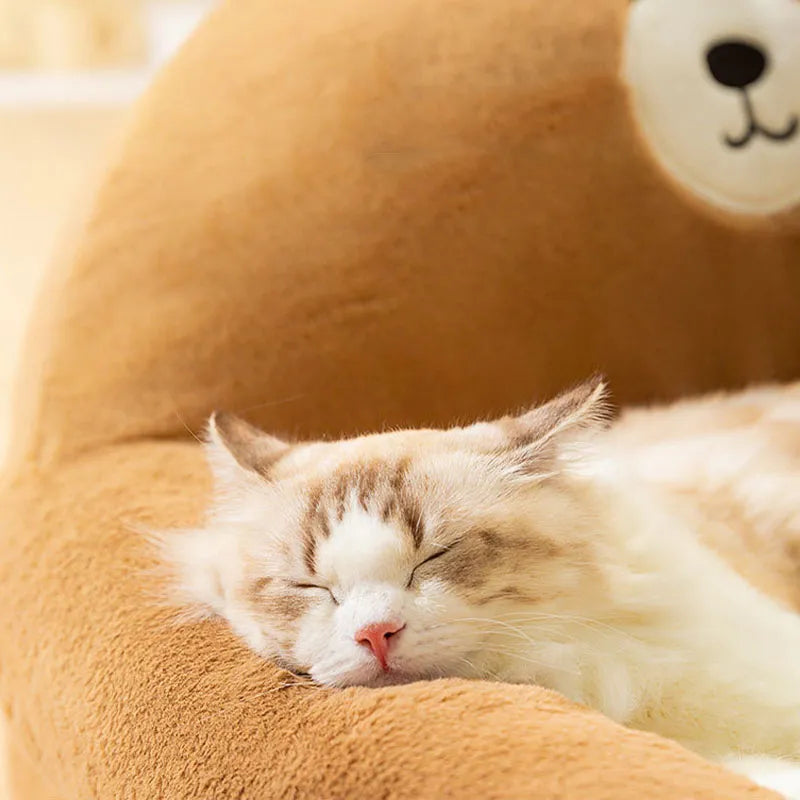 Cozy Teddy Bear Bed for Your Pets