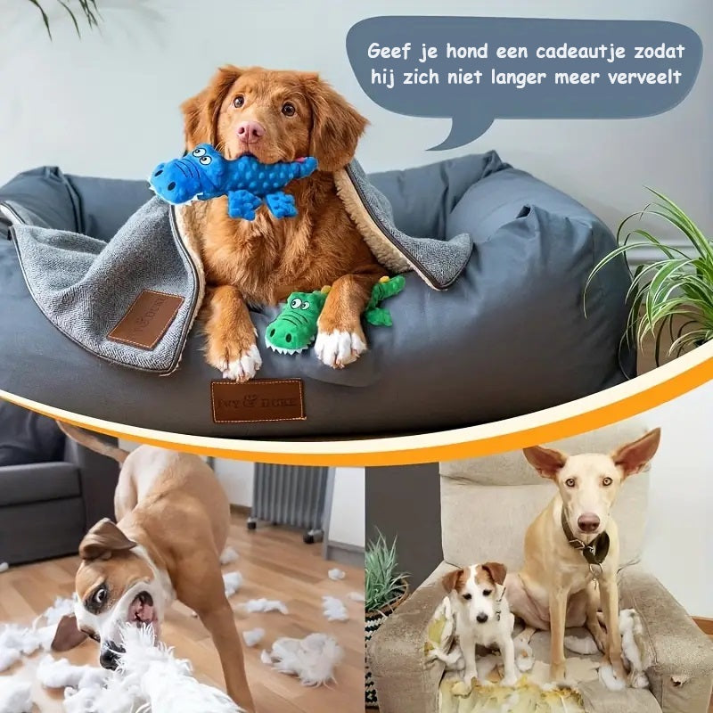 CrocoBite | Fun and Dental Care in One!