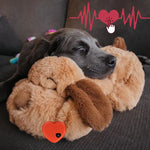 CuddleBuddy | Beruhigung für deinen Hund bei Angst und Einsamkeit