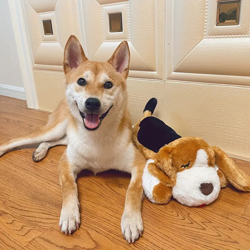 CuddleBuddy | Beruhigung für deinen Hund bei Angst und Einsamkeit