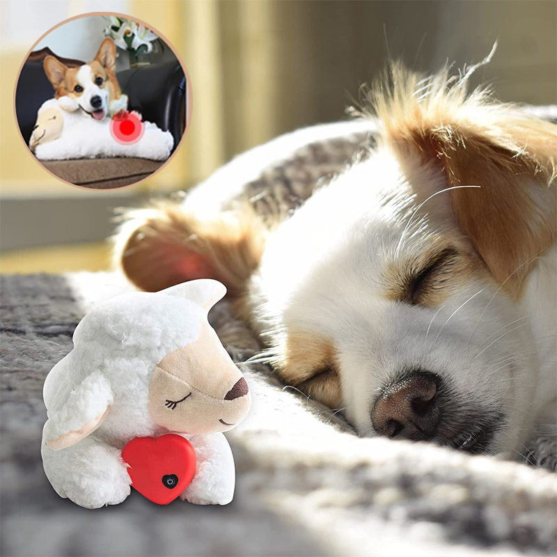 CuddleBuddy | Beruhigung für deinen Hund bei Angst und Einsamkeit
