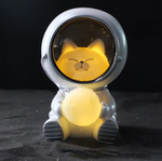 Beautiful Astronaut LED Light