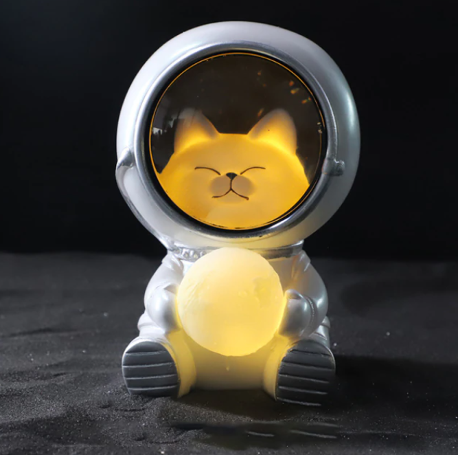 Beautiful Astronaut LED Light