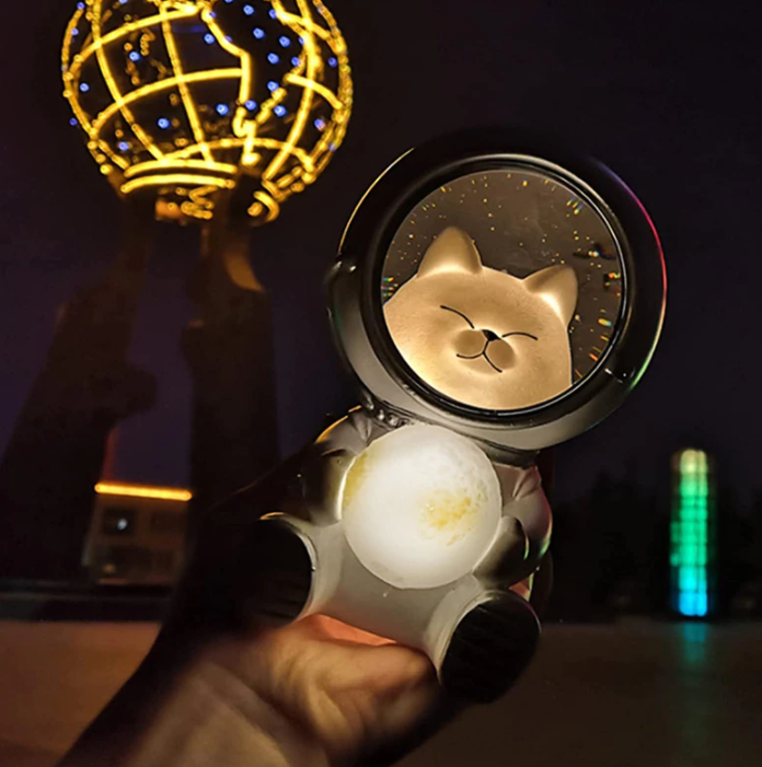 Beautiful Astronaut LED Light