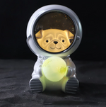 Beautiful Astronaut LED Light