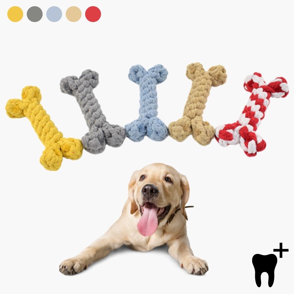 DentRope | Effective for demanding chewers