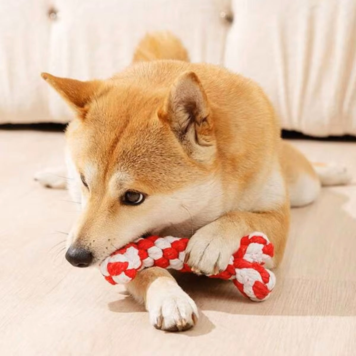DentRope | Effective for demanding chewers