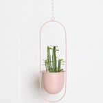 Stylish Hanging Flower Pot for Your Home