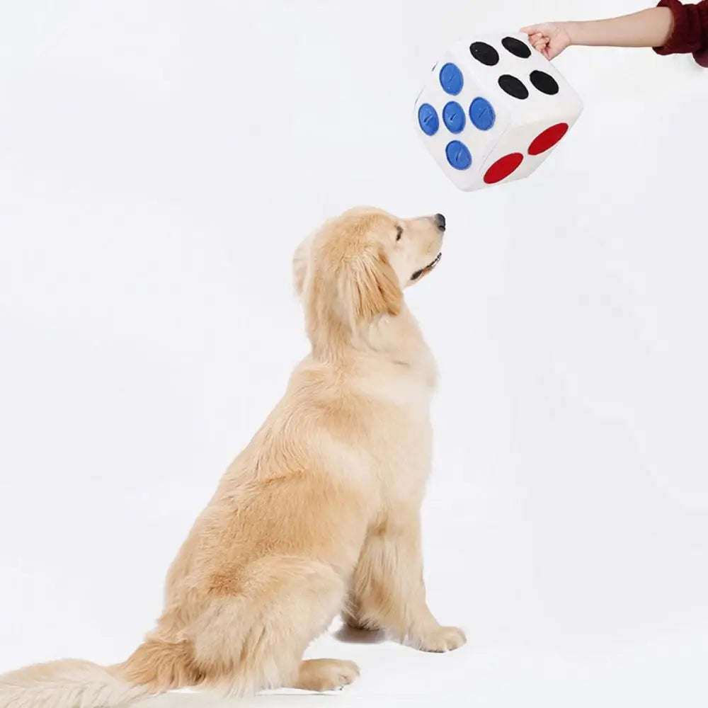 DiceMate | Interaktives Würfelspiel für Ihren Hund