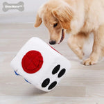 DiceMate | Interaktives Würfelspiel für Ihren Hund