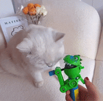 DinoBite | Spannender Spielspaß für Katzen