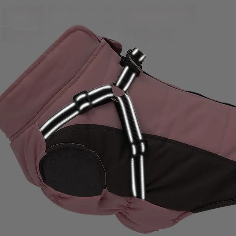 Doegly | Winterjacke für Hunde an kalten Tagen