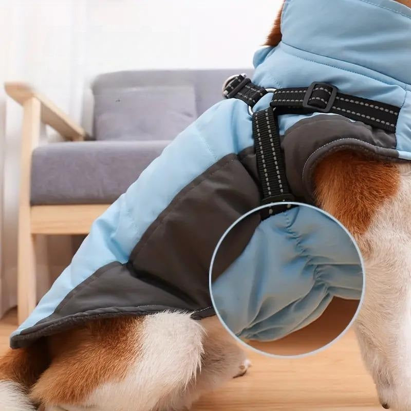 Doegly | Winterjacke für Hunde an kalten Tagen
