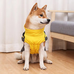 Doegly | Winterjacke für Hunde an kalten Tagen