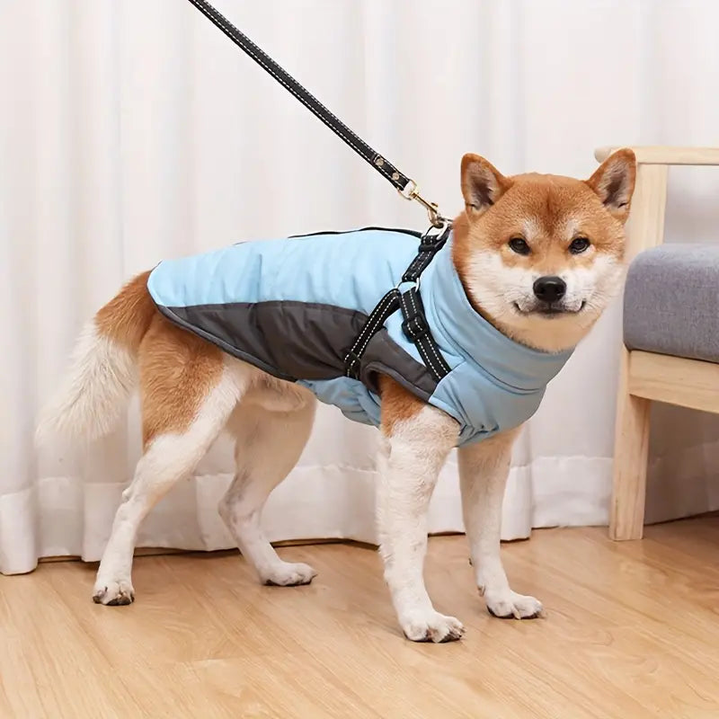 Doegly | Winterjacke für Hunde an kalten Tagen
