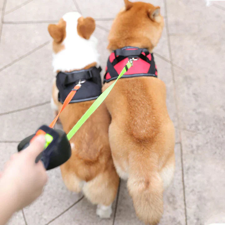 DogDuo | Führleine mit Anti-Verwicklungs-Technologie