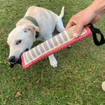 DogGrip | Ultimative Kaukissen für Hunde