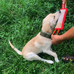 DogGrip | Ultimative Kaukissen für Hunde