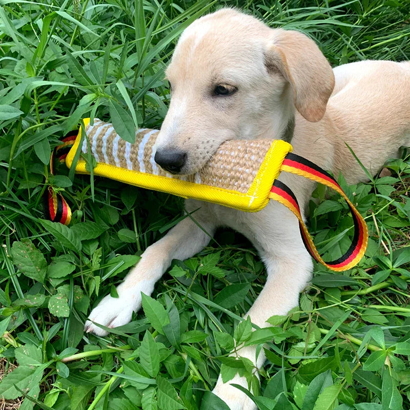 DogGrip | Ultimative Kaukissen für Hunde