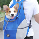DoggyBag | Atmungsaktiver Rucksack für Hunde