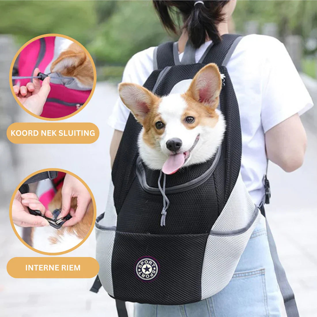 DoggyBag | Atmungsaktiver Rucksack für Hunde