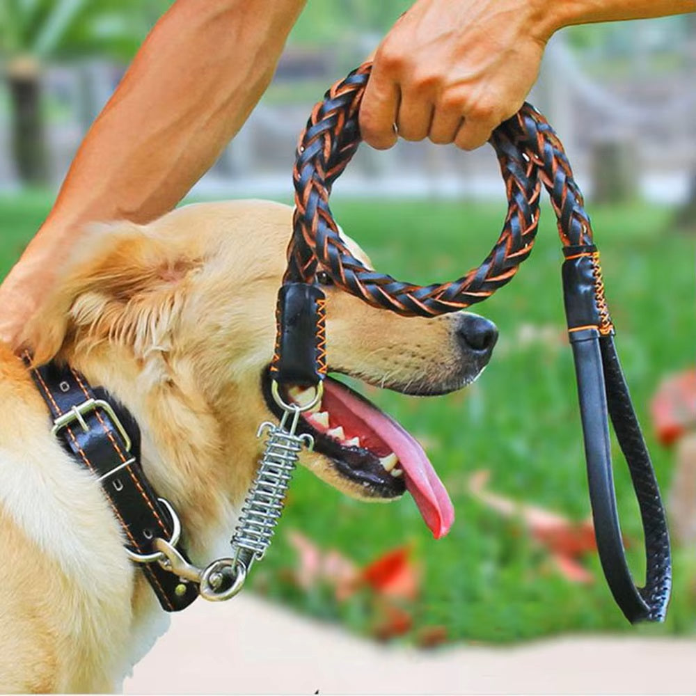 DogsGrip | Robuste Lederleine für optimale Kontrolle