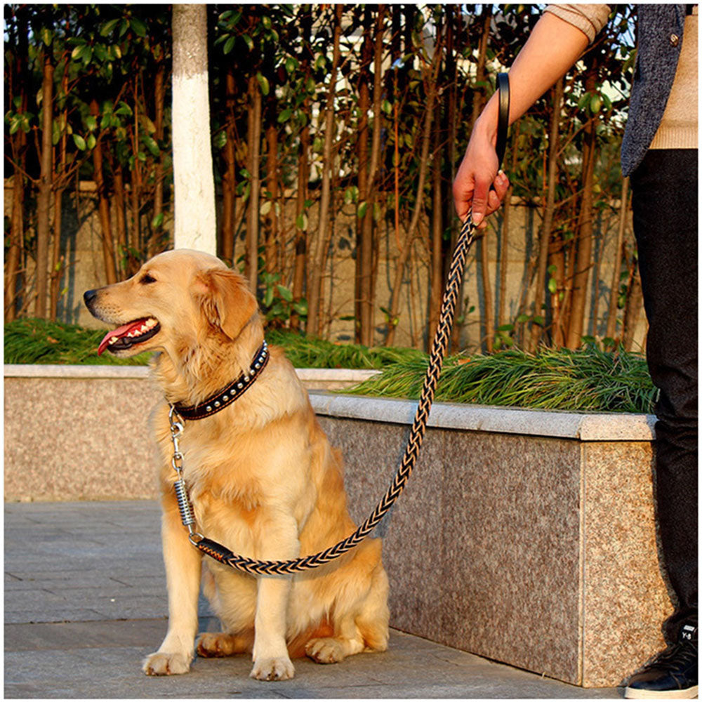 DogsGrip | Robuste Lederleine für optimale Kontrolle