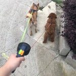 Doppelte Rückziehbare Hundeleine | Mit Taschenlampe und Halter für Hundekotbeutel