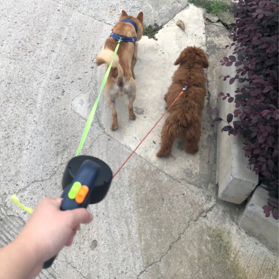 Doppelte Rückziehbare Hundeleine | Mit Taschenlampe und Halter für Hundekotbeutel
