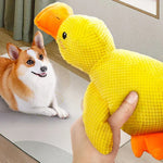 DuckyDazzle | Der perfekte Begleiter gegen Langeweile und Stress