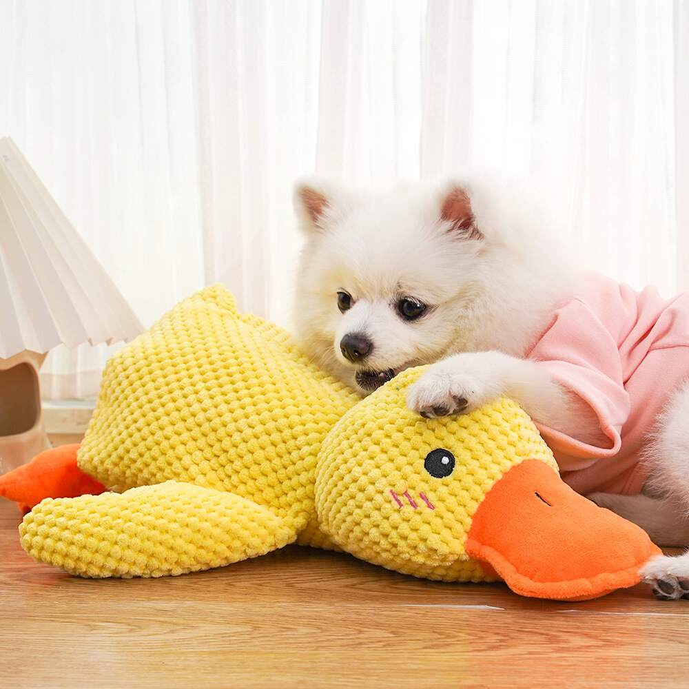 DuckyDazzle | Der perfekte Begleiter gegen Langeweile und Stress