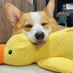 DuckyDazzle | Der perfekte Begleiter gegen Langeweile und Stress