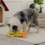 DuckyDazzle | Der perfekte Begleiter gegen Langeweile und Stress